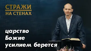 Ильиных Константин "Царство Божие усилием берётся, или как спастись?"