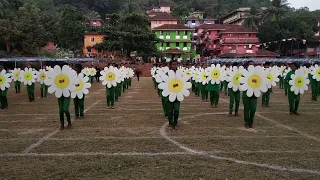 Flower drill - sports day