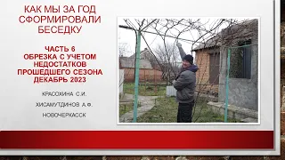 Обрезка беседки с учетом недостатков прошедшего сезона, декабрь 2023@Krasokhina