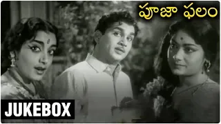 Pooja Phalam All Songs Jukebox |  ANR Back To Back Hits Songs  | Savitri | Jamuna