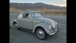 1959 Beetle "Test Drive"