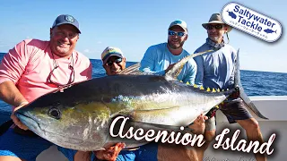 Topwater Yellowfin Tuna in Ascension Island