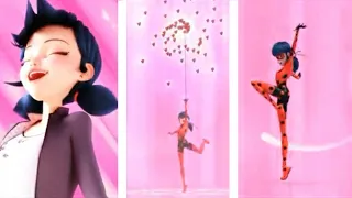 ALL s4 ladybug transformations with powers