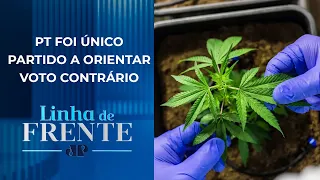 Senado aprova PEC das Drogas e texto vai à Câmara; bancada debate | LINHA DE FRENTE