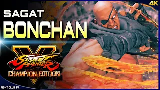 Bonchan (Sagat) is back ➤ Street Fighter V Champion Edition • SFV CE [4K]