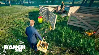 КУРИНЫЕ ДЕЛА | Ranch Simulator #3