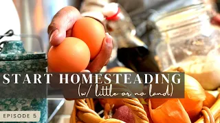 How to Homestead with little or NO Land | Start Urban Farming and Learn to Homestead without land!