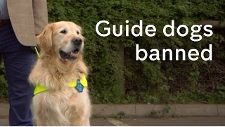 No Go Britain: guide dog users whose dogs are turned away