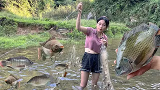 Girl's Survival Skills, Harvest a lot of Fish using this method | Off Gird Living - Tao Thị Ún