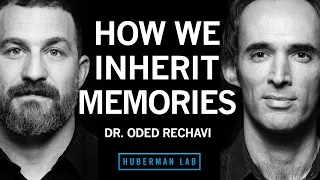 Dr. Oded Rechavi: Genes & the Inheritance of Memories Across Generations | Huberman Lab Podcast