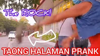 TAONG HALAMAN PRANK: SHE THROW ME A HUGE ROCK AT C.I.T., CONSOLACION, TABUNOK & VAL CARWASH".