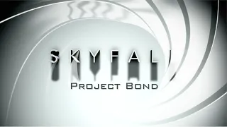 Skyfall - Adele (2012 Bond Theme Cover by Rachel Layne)