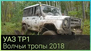 УАЗ ТР1 рвется к победе! (Волчьи тропы 2018)