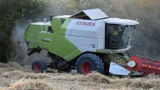 Claas Tucano 430 Az.Agr. Banchetti Giuliano