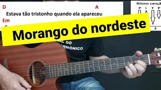 Morango do nordeste - Violão ritmo fácil