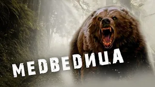 🐻ПЕРВАЯ И ПОСЛЕДНЯЯ МЕДВЕЖЬЯ ОХОТА!Необъяснимый случай в тайге!