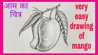 आम का चित्र कैसे बनाएं। Memory drawing of Mango. how to draw mango step by step.