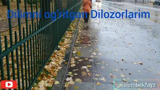 Dilimni og'ritgan Dilozorlarim | Дилимни огритган Дилозорларим