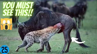 15 HORRIFIC Ways Animals Kill Their Prey Final | in 5 minutes