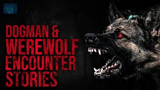 3 HOURS OF DOGMAN HORROR STORIES -  DOGMAN ENCOUNTERS AND DOGMAN SIGHTINGS