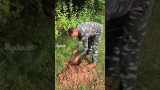 300 plants planted by 4BN CRPF JAWAN RAYAGADA