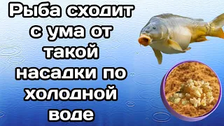 Убойная перловка, карась лещ плотва без ума! Насадка на карася по холодной воде.