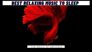 Ultimate Deep Relaxing Music To Think | Meditation Music | Mind Refresh | Universe The New Beginning