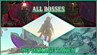 ALL BOSSES - NO DAMAGE | The Legend of Zelda: Tears of the Kingdom