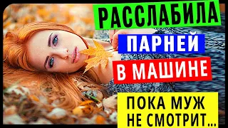 Тёща и Зять - Приключения на... Интересные истории из жизни. Аудио рассказ