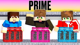 ΠΑΓΙΔΕΥΤΗΚΑΜΕ ΣΤΗΝ PRIME στο Minecraft!