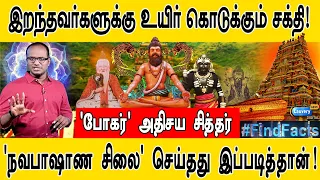 இறந்தவர்களுக்கு உயிர் கொடுக்கும் சக்தி! I போகர் அதிசய சித்தர் I Don't Miss This Video I நவபாஷாண சிலை