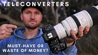 Teleconverters | MUST-HAVE or WASTE of MONEY? Are you better off cropping?