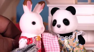 An Organised Mess... 😕Toy Play Compilation | Sylvanian Families