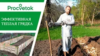 Теплая грядка. Как сделать теплые грядки - рекомендации эксперта.