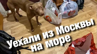 Попрощались с Тайсоном и Уехали из холодной Москвы в Тёплые Края