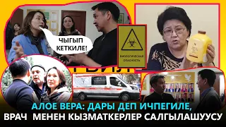 АЛОЕ ВЕРА: ДАРЫ ДЕП ИЧПЕГИЛЕ, ВРАЧ  МЕНЕН КЫЗМАТКЕРЛЕР САЛГЫЛАШУУСУ