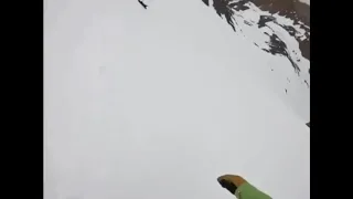 Dog tumbles down ski run