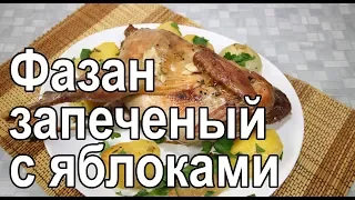 Запеченный фазан фаршированный яблоками в духовке – рецепт как запечь фазана в духовке в рукаве