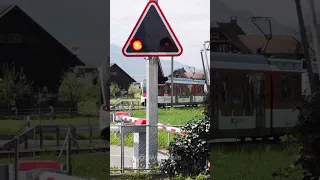 Large level crossing in Oberdorf! #shorts