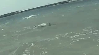 Windsurfing - Bull Shark encounter