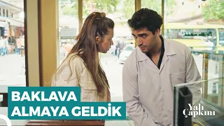 Antep Fıstığından Doğan Aşk Hikayesi | Yalı Çapkını