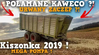 Kiszonka 2019 ✔ 4xCLAAS & STEYR [AGRO-ZORK] Silage ☆ Połamane Kaweco ?!☆ Najlepsza Ekipa !