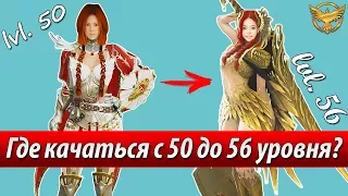 Black Desert – Прокачка с 50 до 56 уровня | Гайды Black Desert