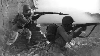 Почему солдаты РККА бросали винтовку СВТ-40 на поле боя