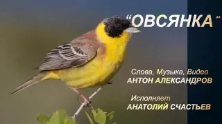 ОВСЯНКА (посвящается русским эмигрантам)