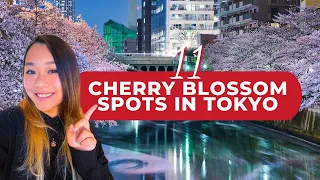 Cherry blossom in Tokyo 2022: 11 Best sakura spots you shouldn't miss