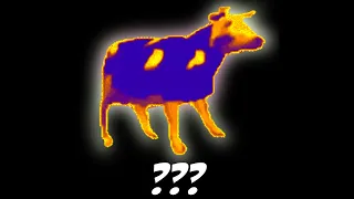 10 "Dancing Polish Cow" Sound Variations in 45 Seconds