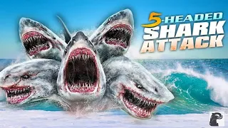 10 _sHARK ATTACKS YOU WON'T BELIEVE HAPPENED .. #shark #sharkattacks#sarashariff