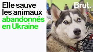 Elle sauve les animaux abandonnés en Ukraine à cause de la guerre