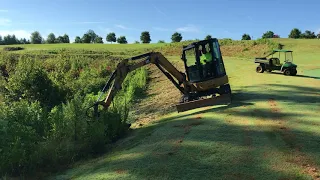 CAT 305E with 42" Brush Wolf